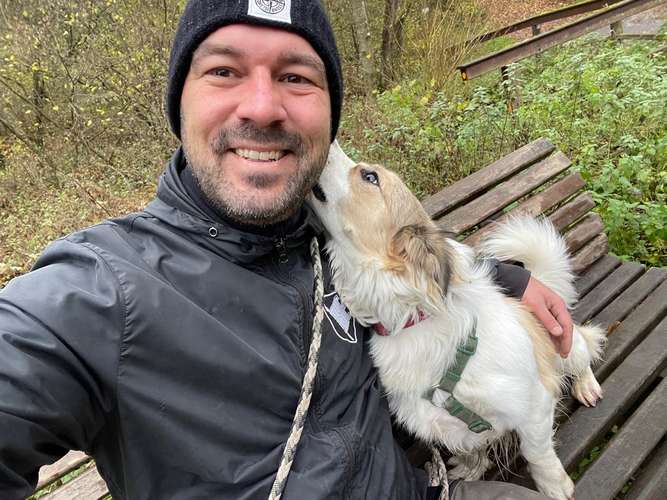 Hundeauslaufgebiet-Molly's Way-Bild