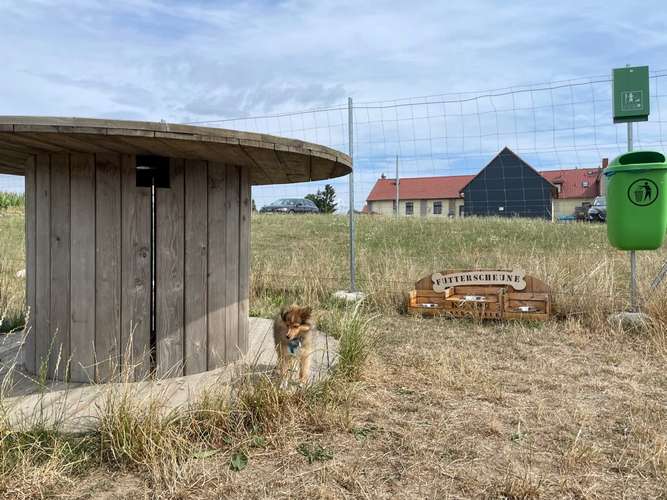 Hundeauslaufgebiet-Futterscheune zum Grünen Baum-Bild