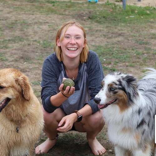Hundeauslaufgebiet-Pflege ohne wege-Bild
