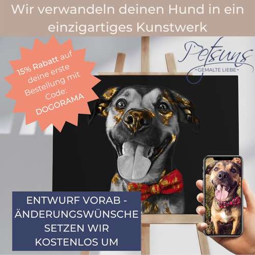 Hundeauslaufgebiet-Petsuns UG (haftungsbeschränkt)-Bild