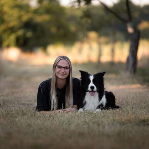 Hundeauslaufgebiet-Humeny Hund und Mensch in Harmony-Bild