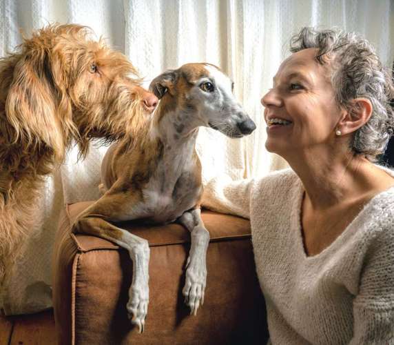 Hundeauslaufgebiet-Tierfotografie Jürgen Latzke-Bild