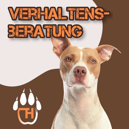 Hundeauslaufgebiet-Tierhelden.net-Bild