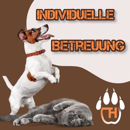 Hundeauslaufgebiet-Tierhelden.net-Bild