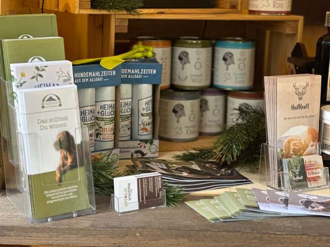 Hundeauslaufgebiet-Natürlich4Pfoten-Bild