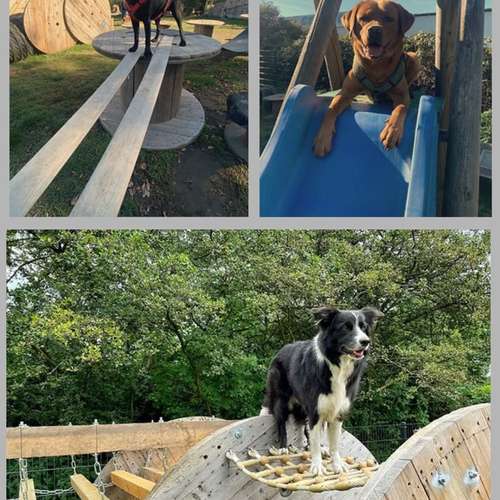 Hundeauslaufgebiet-Hundetrainingszentrum Braunschweig-Bild