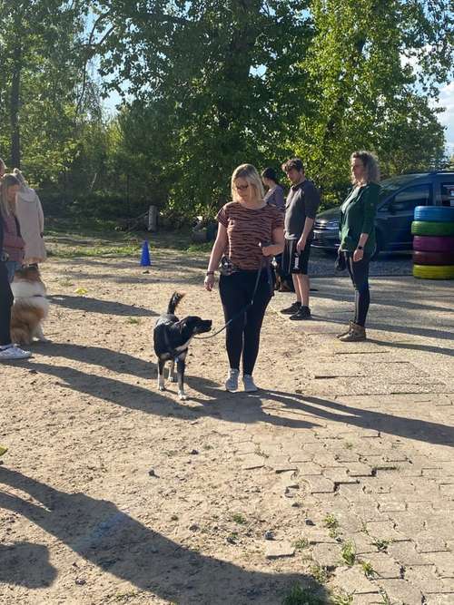 Hundeauslaufgebiet-Hundetrainingszentrum Braunschweig-Bild