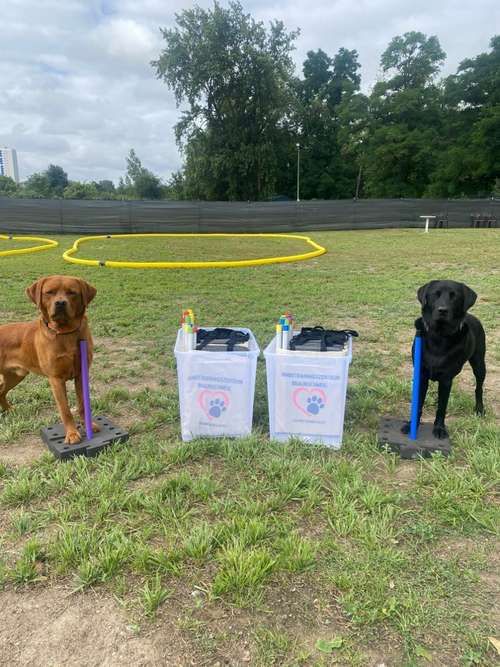 Hundeauslaufgebiet-Hundetrainingszentrum Braunschweig-Bild