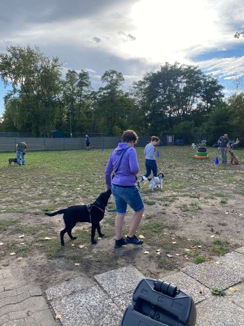 Hundeauslaufgebiet-Hundetrainingszentrum Braunschweig-Bild