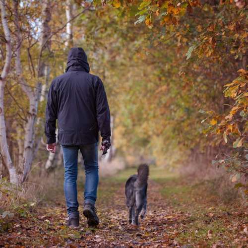 Hundeauslaufgebiet-Hundetrainingszentrum Braunschweig-Bild