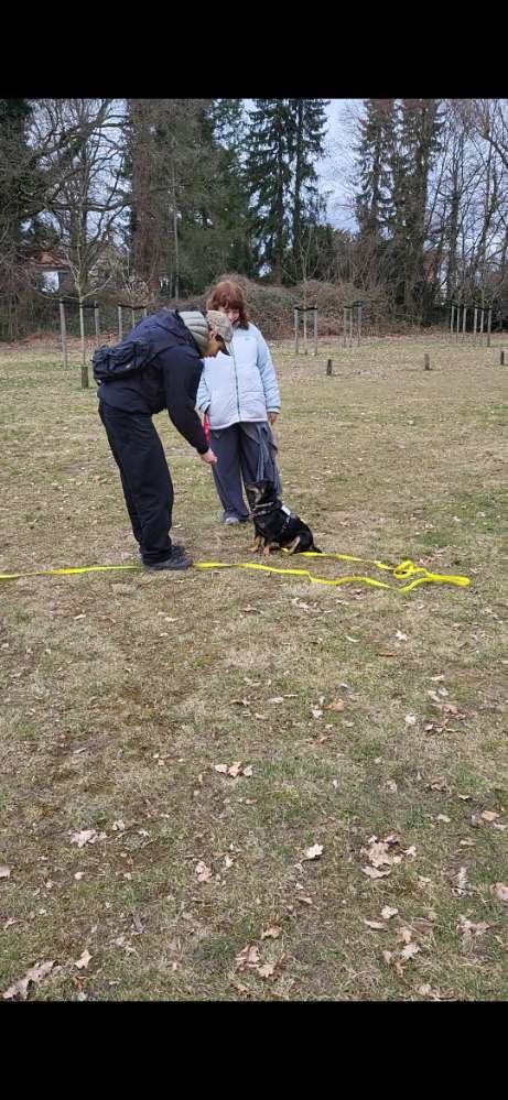 Hundeauslaufgebiet-Nadine Alfes  - dogtraining-hamburg-Bild