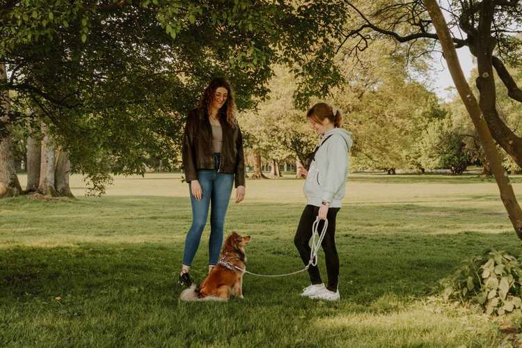 Hundeauslaufgebiet-Nadine Alfes  - dogtraining-hamburg-Bild