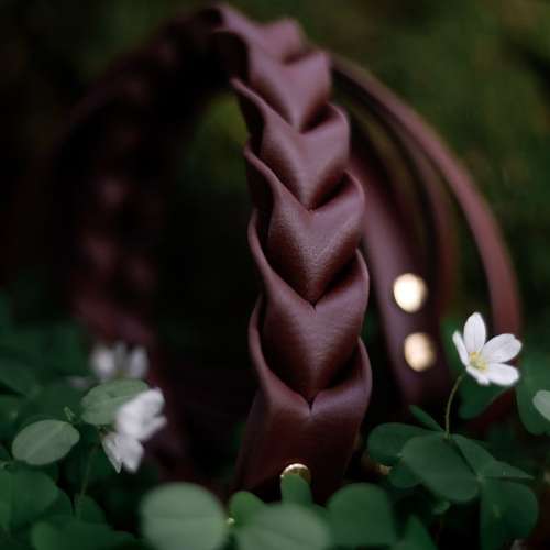 Hundeauslaufgebiet-Knotenbande-Bild