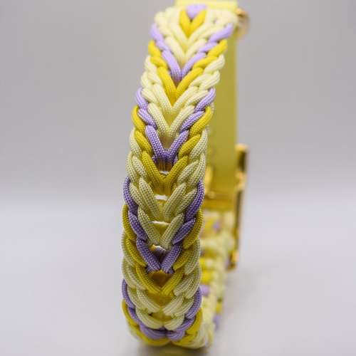 Hundeauslaufgebiet-Knotenbande-Bild