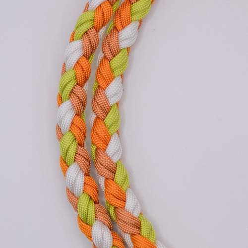 Hundeauslaufgebiet-Knotenbande-Bild