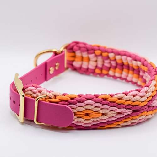 Hundeauslaufgebiet-Knotenbande-Bild