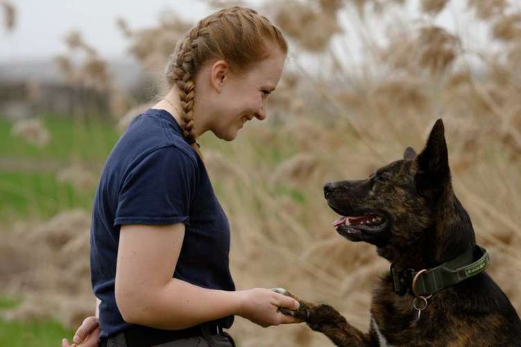 Hundeauslaufgebiet-Pfoten Power-Bild