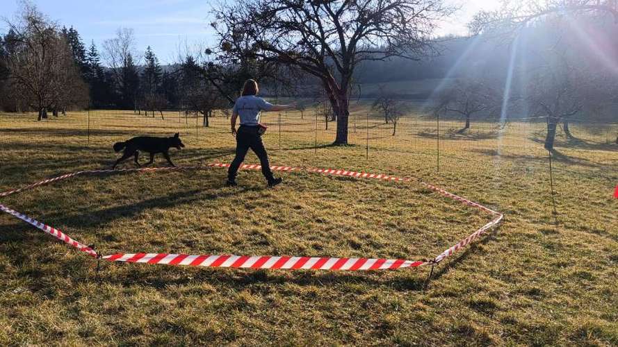 Hundeauslaufgebiet-Pfoten Power-Bild