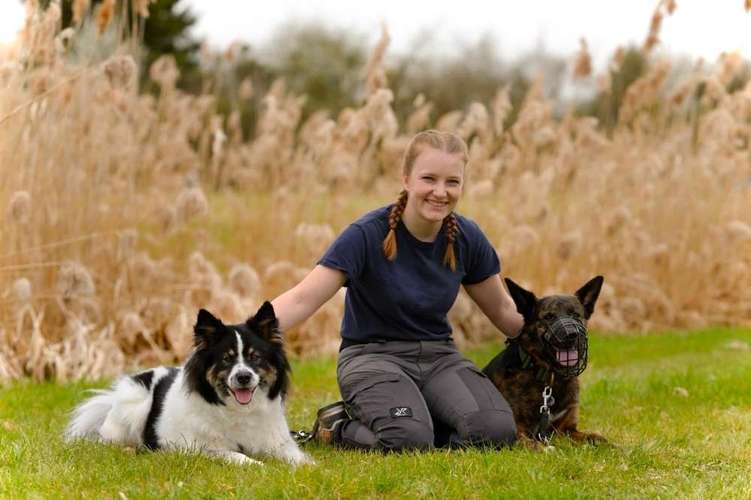 Hundeauslaufgebiet-Pfoten Power-Bild