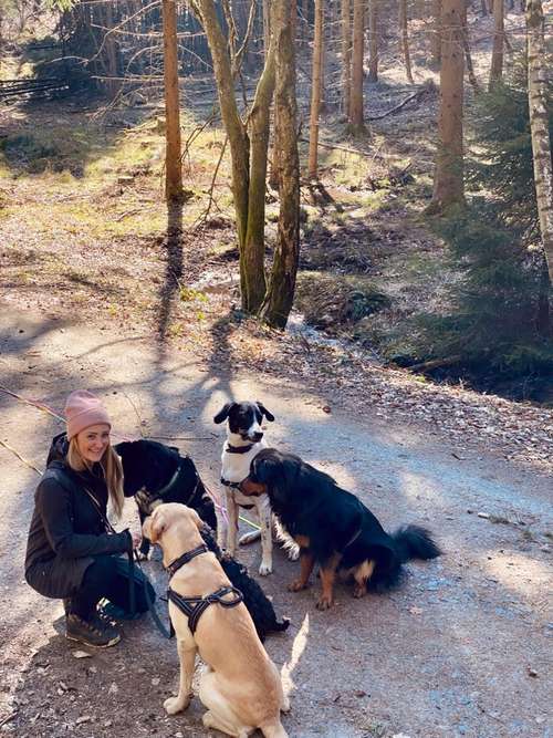 Hundeauslaufgebiet-Dogbuddies Taunus-Bild