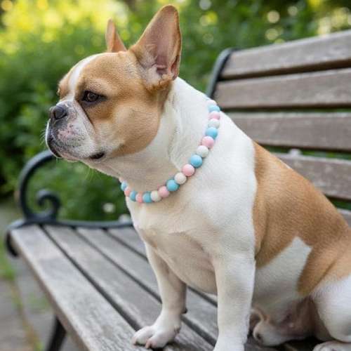 Hundeauslaufgebiet-LottisDreamland-Bild