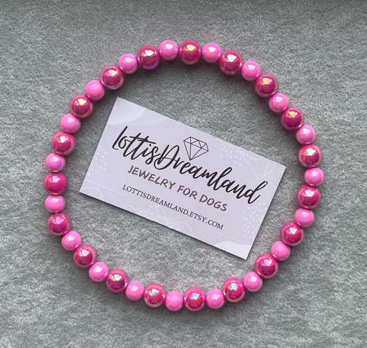 Hundeauslaufgebiet-LottisDreamland-Bild