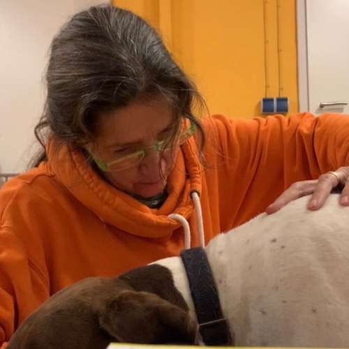 Hundeauslaufgebiet-Tierphysiotherapie Alexandra Pritz-Bild