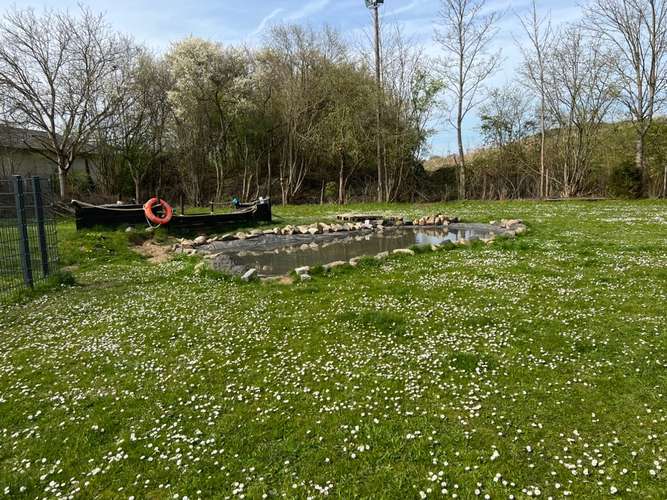 Hundeauslaufgebiet-Ben`s Dogbe - Hundeschule & Hundetagesstätte-Bild