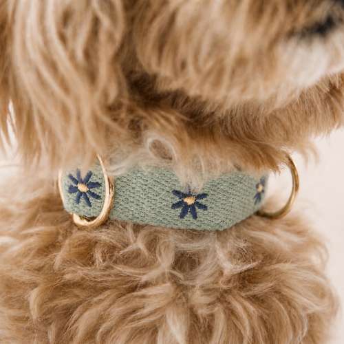 Hundeauslaufgebiet-Buna Dogfactory-Bild