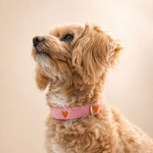 Hundeauslaufgebiet-Buna Dogfactory-Bild