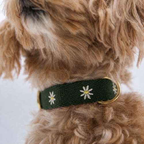Hundeauslaufgebiet-Buna Dogfactory-Bild