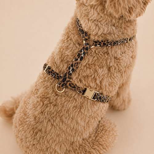 Hundeauslaufgebiet-Buna Dogfactory-Bild