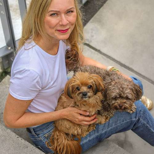 Hundeauslaufgebiet-Dogs and the City-Bild