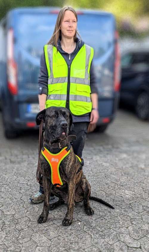 Hundeauslaufgebiet-MOBILE HUNDESCHULE BAUMANNSBANDE-Bild