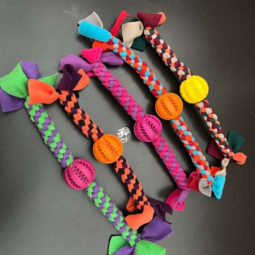 Hundeauslaufgebiet-Spilly Design-Bild