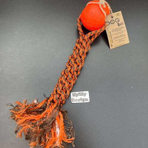 Hundeauslaufgebiet-Spilly Design-Bild