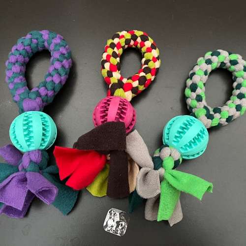 Hundeauslaufgebiet-Spilly Design-Bild