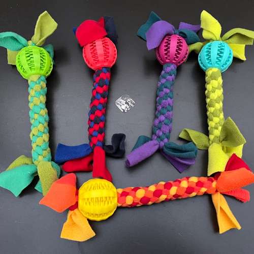 Hundeauslaufgebiet-Spilly Design-Bild