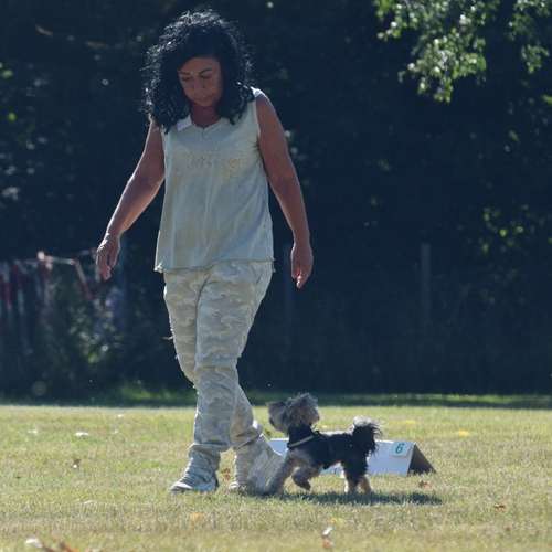 Hundeauslaufgebiet-Hundeschule Der Zwergen-Spezialist-Bild