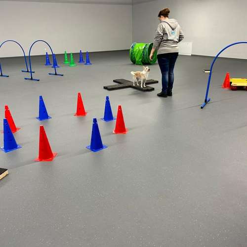 Hundeauslaufgebiet-Hundeschule Der Zwergen-Spezialist-Bild