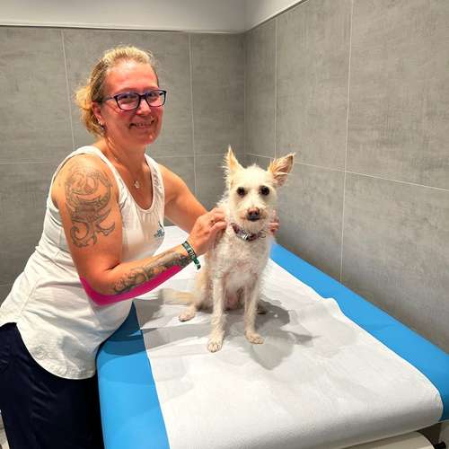 Hundeauslaufgebiet-Hundeschule Der Zwergen-Spezialist-Bild