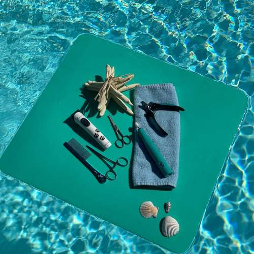 Hundeauslaufgebiet-Hundeschule Der Zwergen-Spezialist-Bild