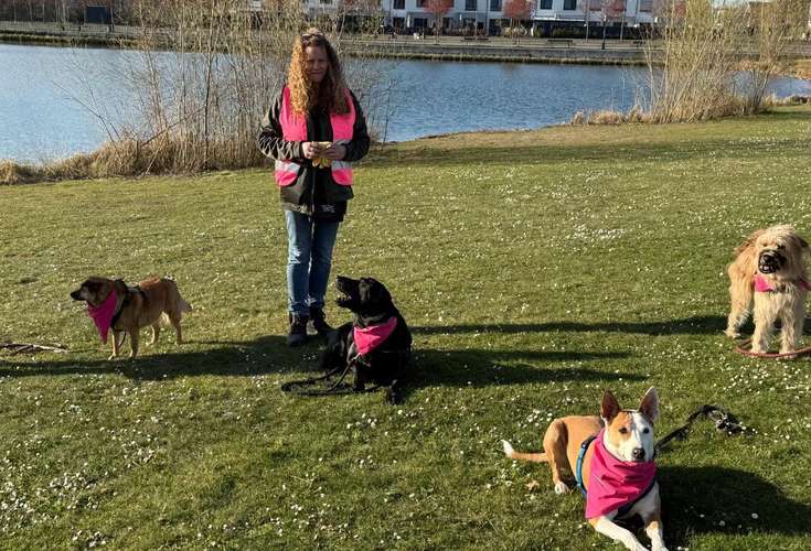 Hundeauslaufgebiet-Pfoten-Partner-Bild