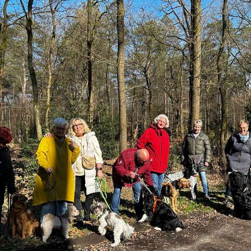 Hundeauslaufgebiet-Pfoten-Partner-Bild