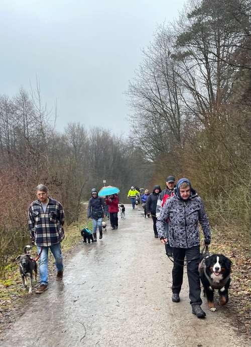 Hundeauslaufgebiet-Pfoten-Partner-Bild