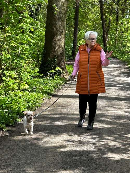 Hundeauslaufgebiet-Pfoten-Partner-Bild