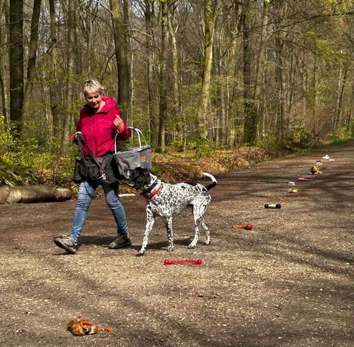 Hundeauslaufgebiet-Pfoten-Partner-Bild