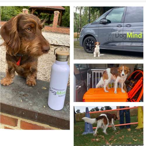 Hundeauslaufgebiet-DogMind Münsterland-Bild