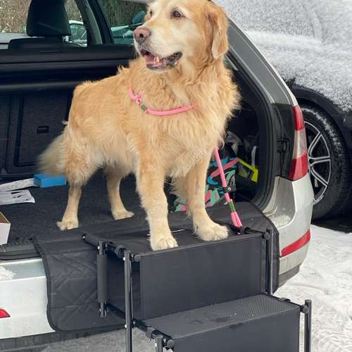 Hundeauslaufgebiet-DogMind Münsterland-Bild