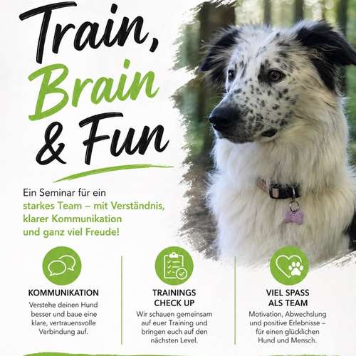 Hundeauslaufgebiet-DogMind Münsterland-Bild